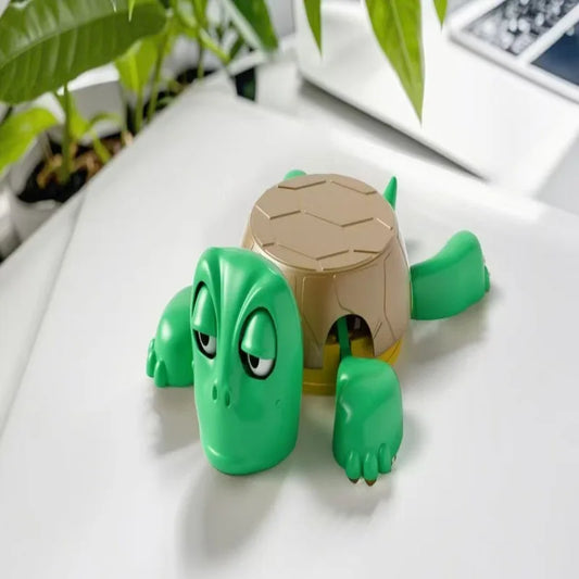 Mr.Turtle Coaster