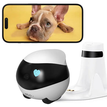 Love Bot Camera